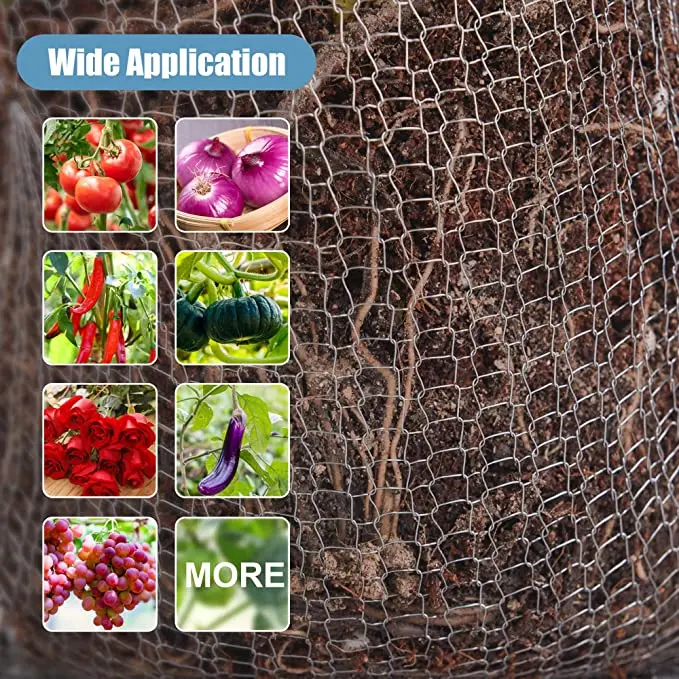 Root Guard Baskets Stainless Steel Plant Wire Speed Baskest for Plant Berries Vegetables Root Protect