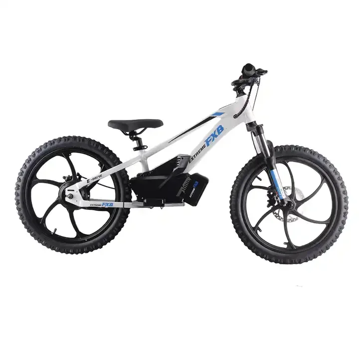 Best BMX Race Vehicle 400w off Road 20 Inch Off-road Tire Racing Electric 36V 5AH Motorcycle Electric Bike Emotorcycle for Kid