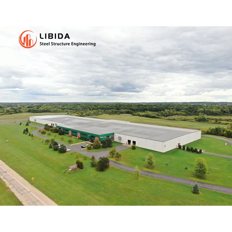 OEM/ODM Light Steel Fabrication Metal Steel Structure Farm Shed Steel Structural Warehouse Building