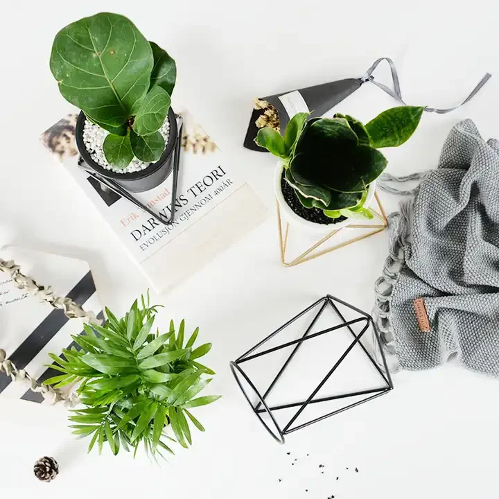 Ins Nordic Triangle Minimalist Succulent Iron Frame Round Ceramic Green Planter Geometric Flower Stand