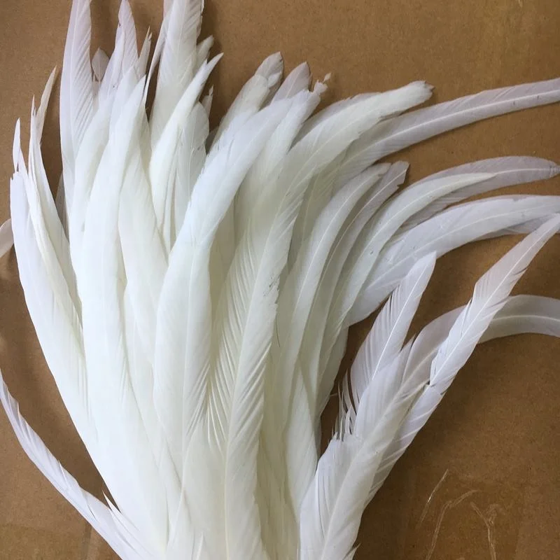 Wholesale Super White 40-45cm Rooster Tails Feather Chinese Coque Feathers For Carnival Costume Samba Fly Tying