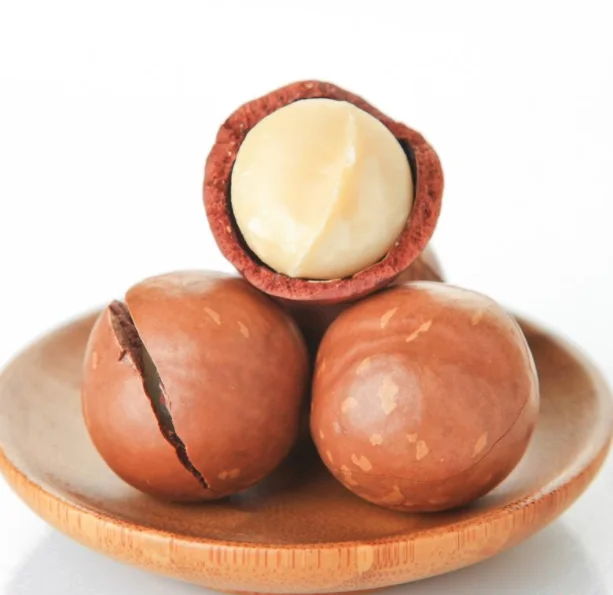 Quality Macadamia export sales