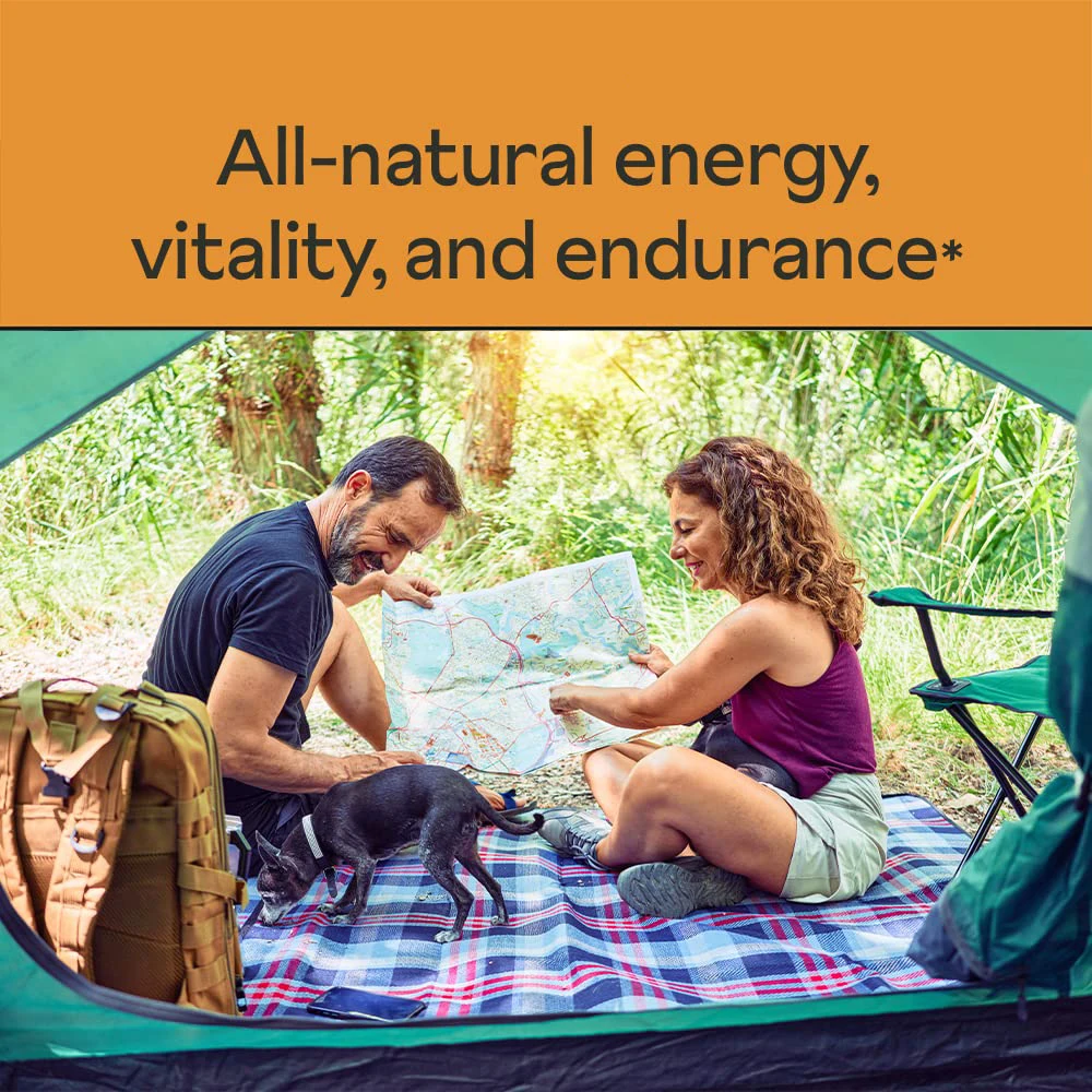 Organic Herbal Extract Health Maintenance Energy Support Gummies For Adults with Ginseng Goji Extracts