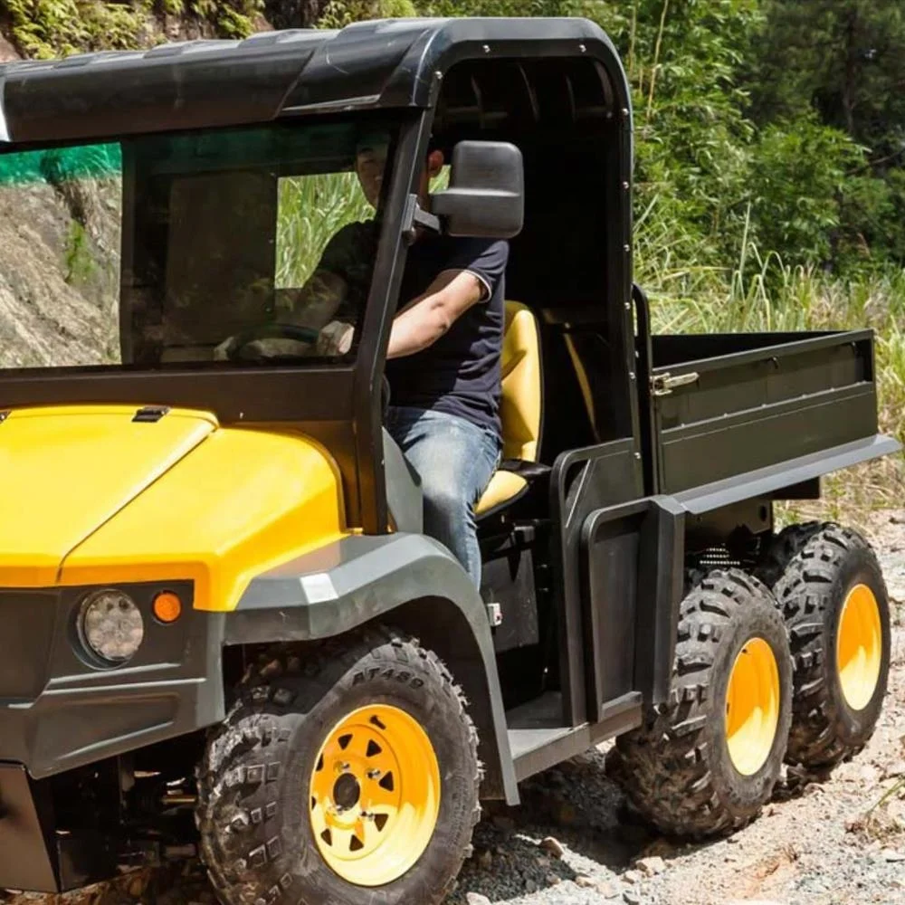 3 квх 2 набора китайского утилитарного транспортного средства по бокам UTV 4WD Электрический фермерский