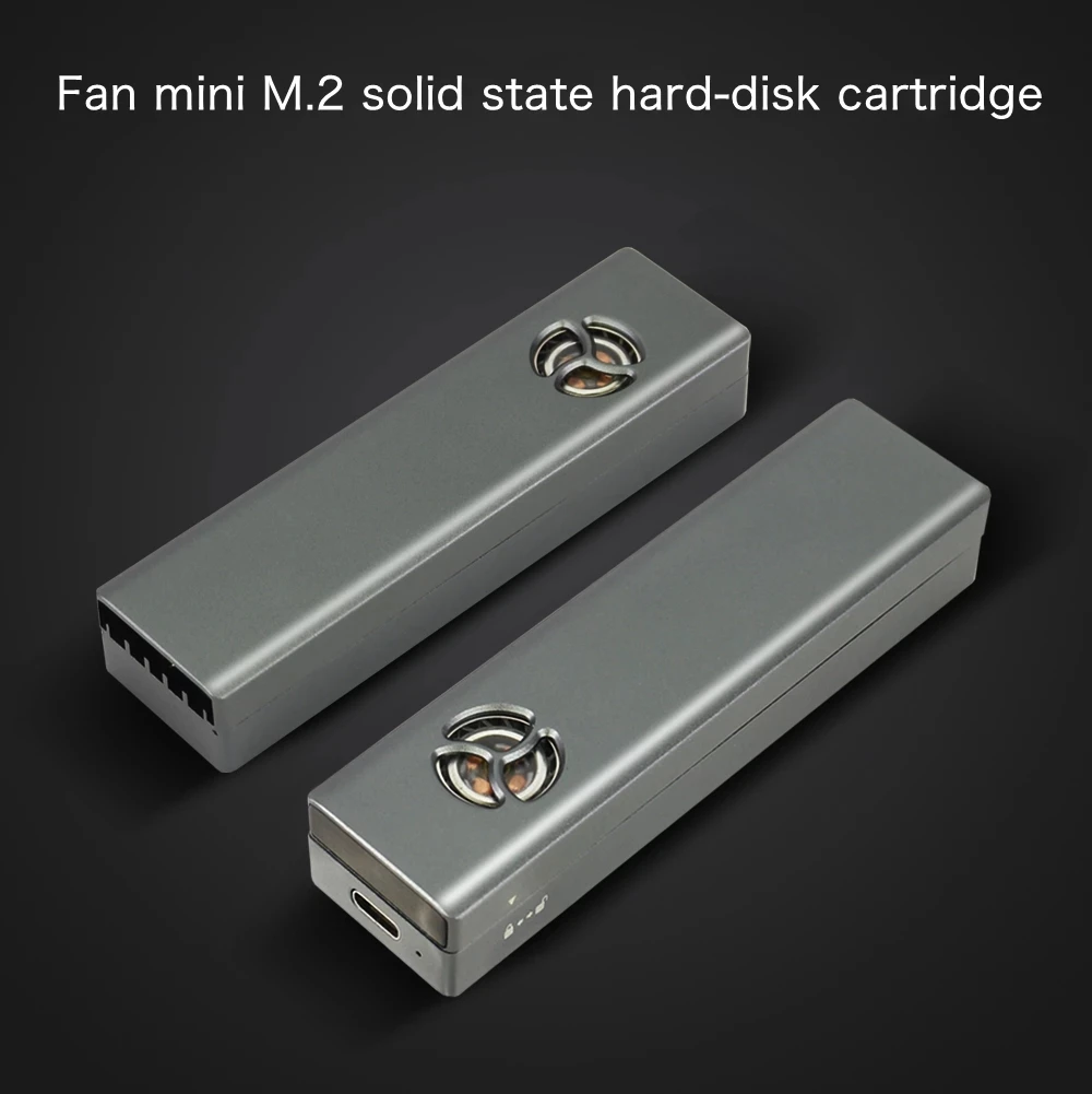  M.2 SSD чехол Портативный USB 3 1 Тип C 10Gps мини вентилятор корпус жесткого диска поддерживает NVMe SATA два