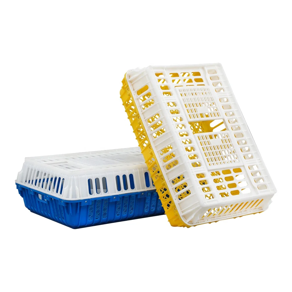 China manufacturer supply big capacity sturdy open top door Plastic live chicken transport crate / cage