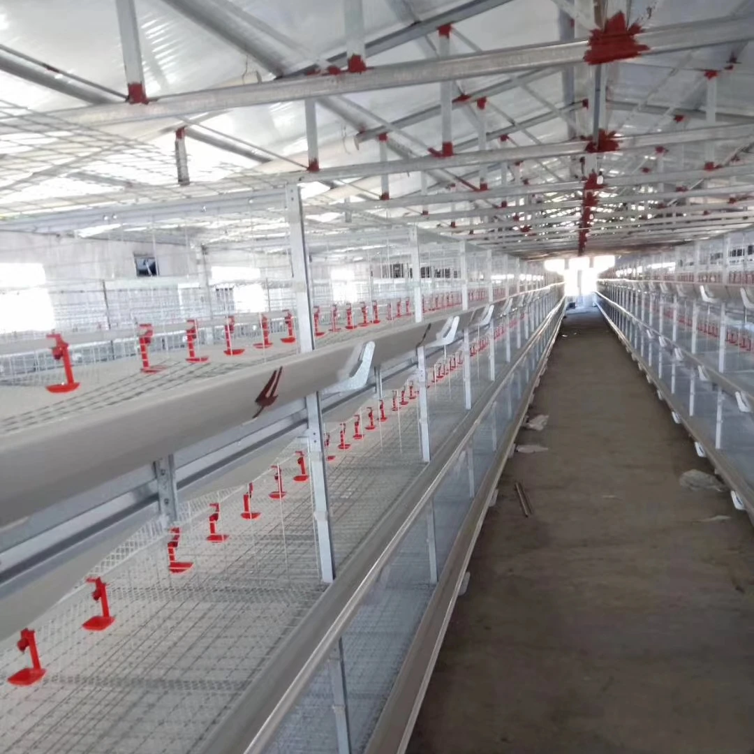 poultry broiler cages for broiler chicken battery cages poultry farm