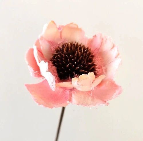 Dried artificial corn poppy flower crafts , hand made by natural coconut,home decor, floral arrangement
