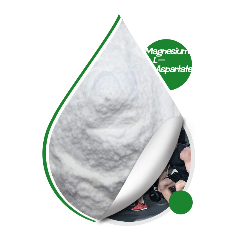 Food Grade Amino Acid CAS 2068-80-6 Magnesium Aspartate Pure 99% Magnesium L Aspartate Powder From Factory