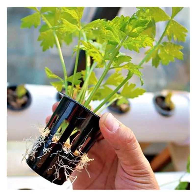 
Cost-effect Commercial Greenhouse with Fully Automatic Hydroponic Grow Systems 