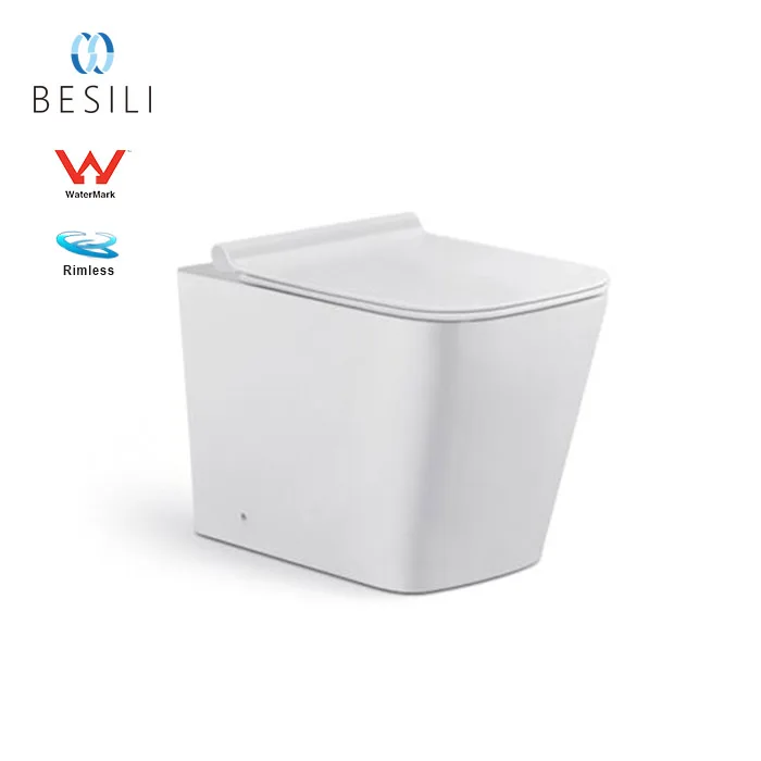 Bathroom top brands design floor mounted toilet pan with conceal cistern 2057B