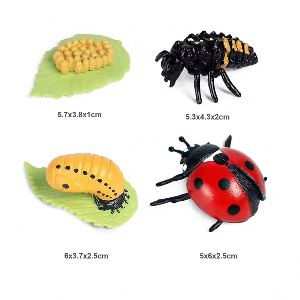 montessori life cycle toy lifelike insect animal figurines education life cycle figurines toy