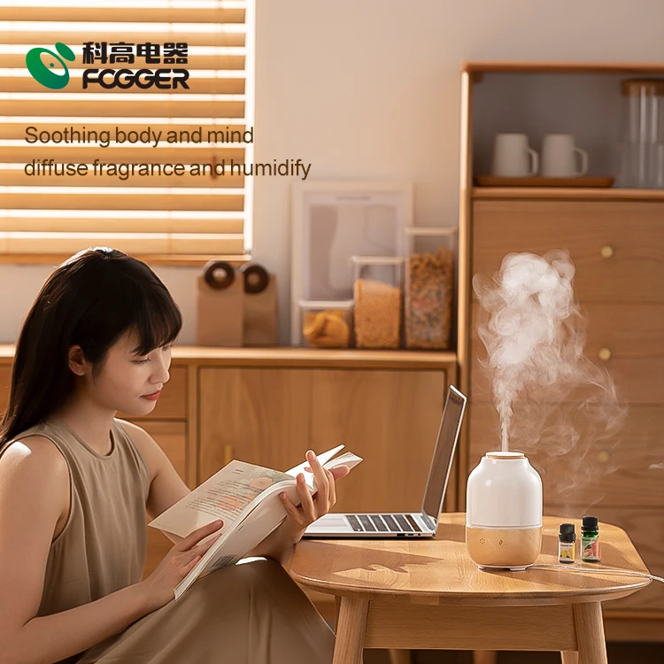 Morden Style 130ml Reed Bottle Acoustic Ultrasonic Aroma Stick Home Ceramic Essential Oil Diffuser