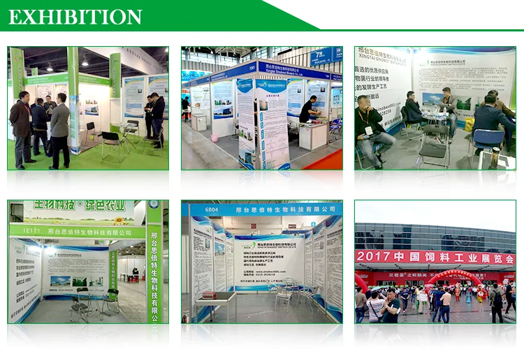 Textile Auxiliary Agent Alkaline Protease Textile Enzyme