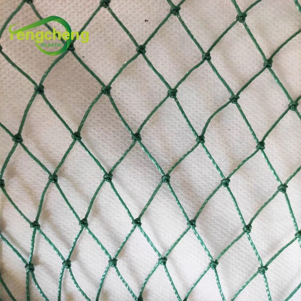 2020 Knotted PE plastic chicken fence netting mesh for poultry / bird net for orchard
