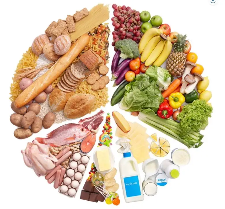 Заводская Прямая продажа от производителя корм для животных 500 г 10 кг