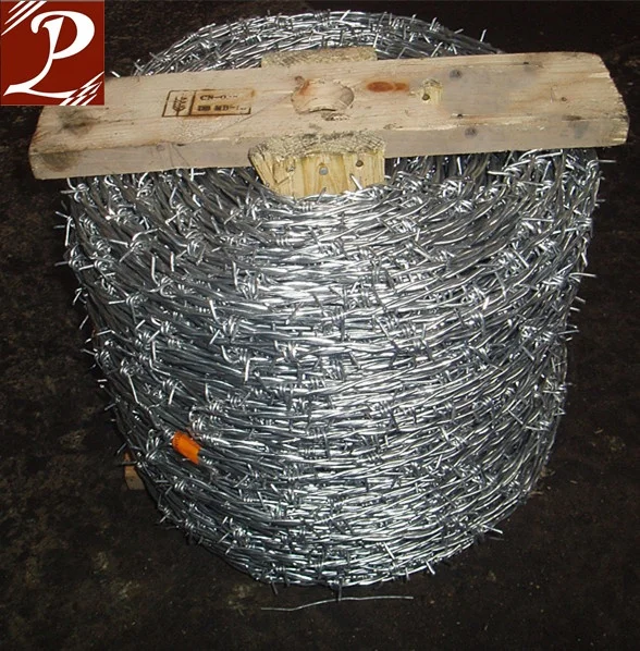 Brazil popular Galvanized barbed wire price/wire barbed