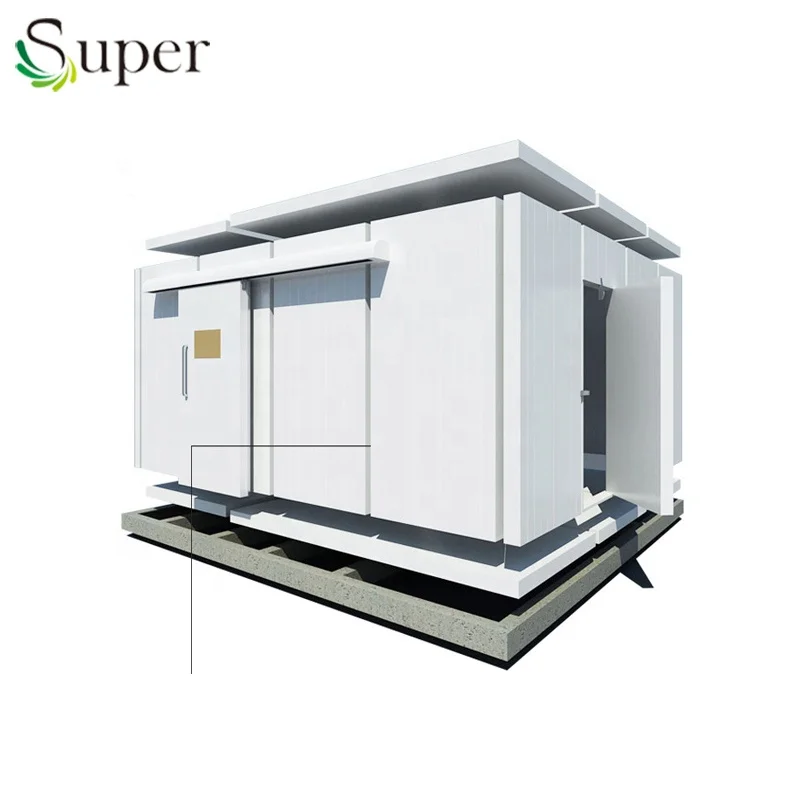 
100 ton potatao cold room storage for hot weather with wall insulation coating liquid 