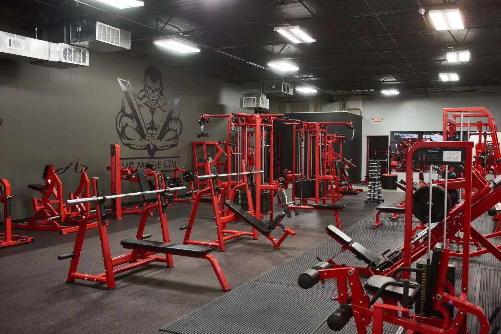 2023 new design Strongway fitness Commercial Gym Fitness Equipment Hammer  Plated Loaded Machine Seated Biceps curl