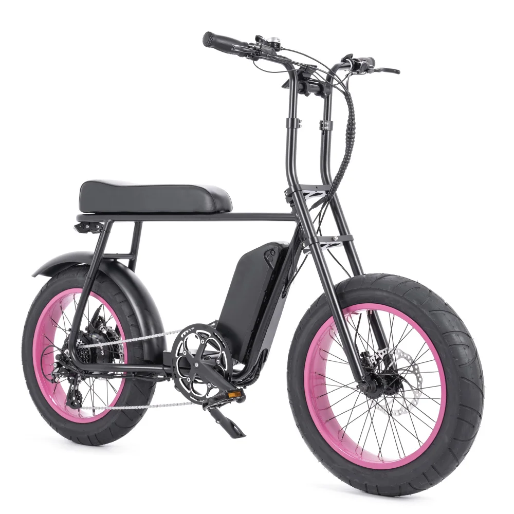 2023 Retro 36V 250W Bafang Hub Motor Fat Tire E-bike with pink rims