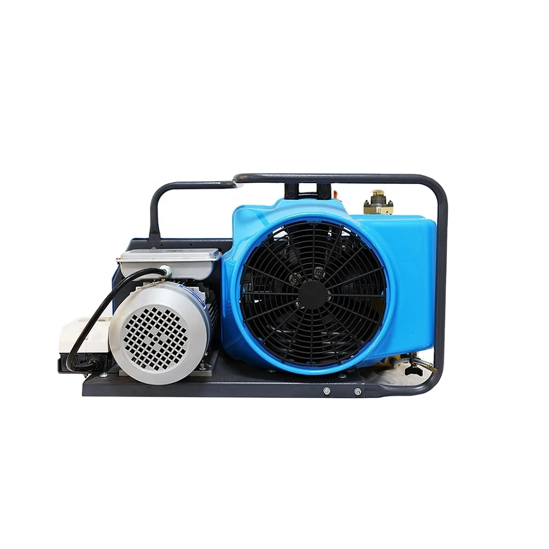 HOT SALE CHINESE manufacturer Scuba Diving Firefighting High Pressure Gas Compressor Portable Breathing Air Compressor