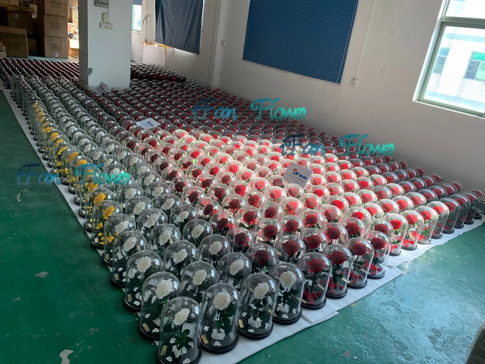 New coming promotional wholesale real rose preserved roses flower in glass dome