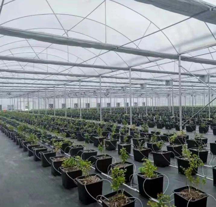 7 Gallon Plastic grow pot square growing bucket for blueberry and grapes