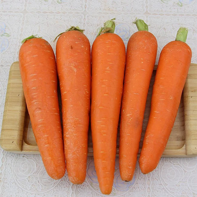 Shandong Fresh Carrot Cheap Price Chinese Fresh Carrots For Export Nutritious and Tasty China Fresh Vegetables