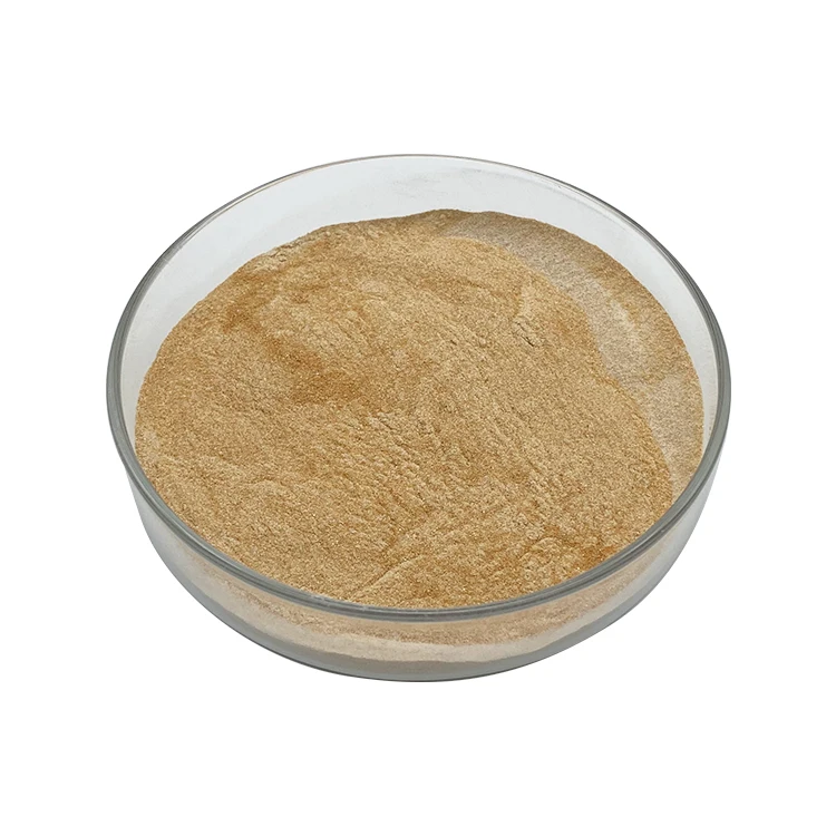 Food Grade Bakery Enzyme Powder Increase Crust Color and Improve Shelf Life 200000u Glucoamylase