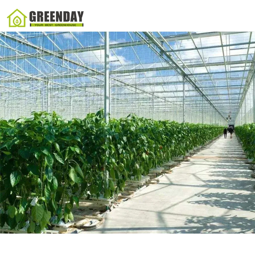 
GREENDAY Low cost galvanized steel pipe used greenhouse polytunnel greenhouse for plant growth 