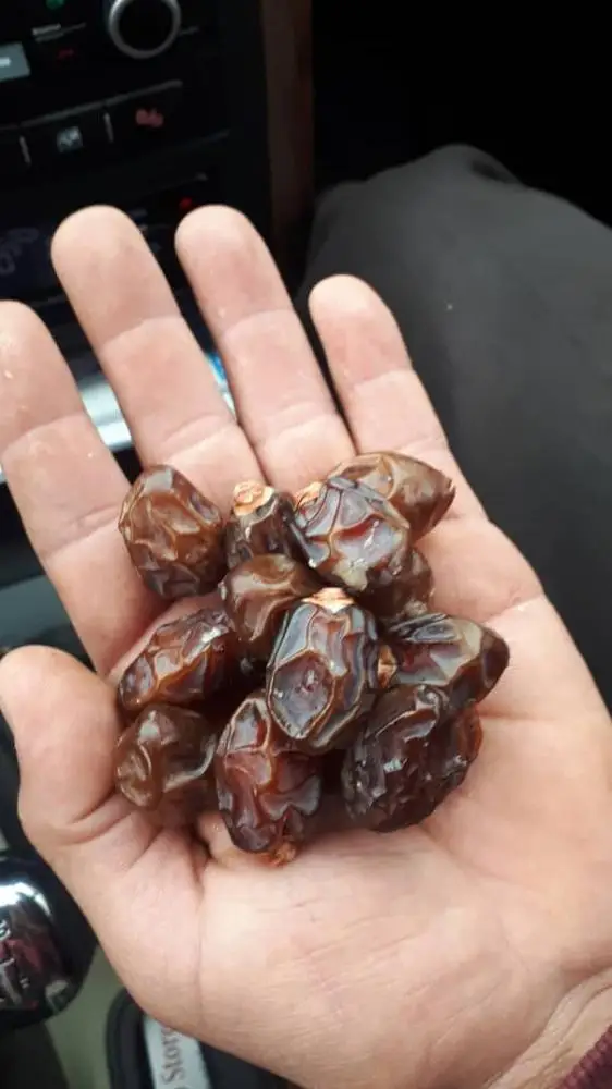 
Iranian High Quality Piarom Dates (Marayami) Fresh Dates 