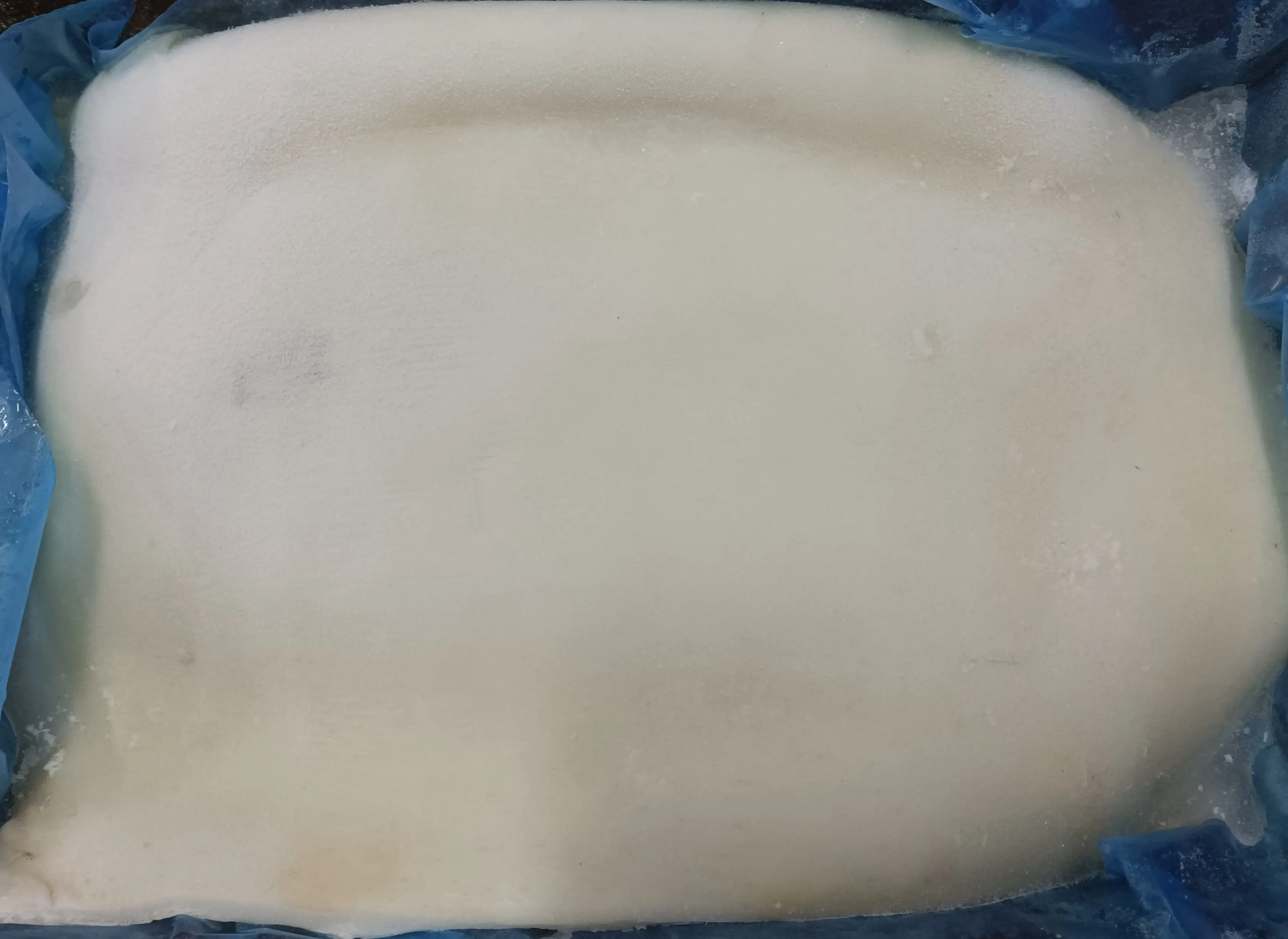 New arrival frozen giant squid skin on  fillet giant squid meat raw material giant squid fillets
