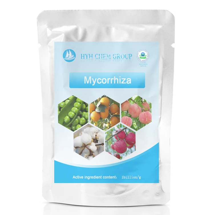 Best Probiotic for plants Rhizobium Leguminosarum rhizobium sulla biofertilizer rhizobium