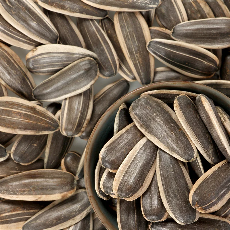 goods taste sunflower seeds 361 sunflower seeds wax sunflower seeds wax manufacture