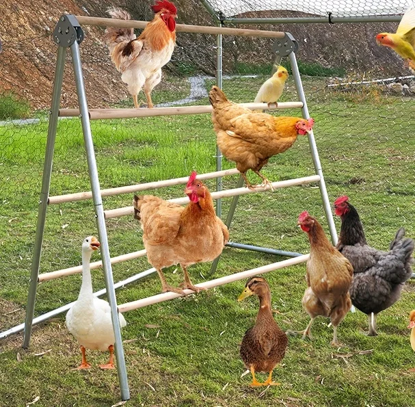 Chicken Perch Ladder for Coops, Chicken Roosting Bars, Wooden Chicken Perch Stand Exercise Toy for Backyard Poultry Farm