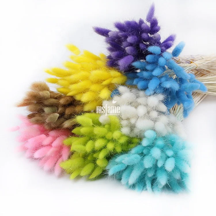 MSFAME Factory Small Flower Bushes Wholesale Bunny Tails Dried Flowers Mini Bouquet