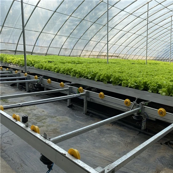Hydroponic system  auto rolling bench growing system full Automatic Ebb and Flood system