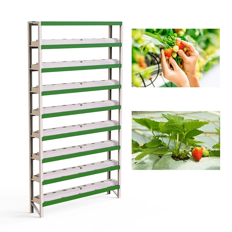 OMANA newly arrived  vertical ecology growing hydroponic vegetable kit system