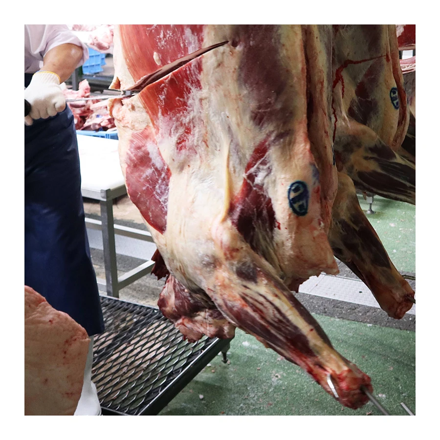 Good selling Japanese frozen forequarter price beef wagyu for sale