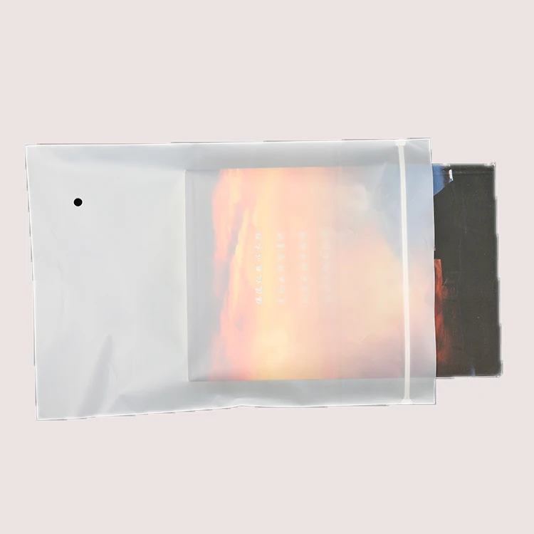 wholesale custom logo frosted plastic bag clothes zip lock self sealing bag clothing packaging frosted zipper bags prin  ( FD91)