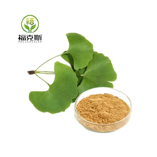 Manufacturer Supply Bulk Natural Organic Ginkgo Biloba Leaf Extract Powder