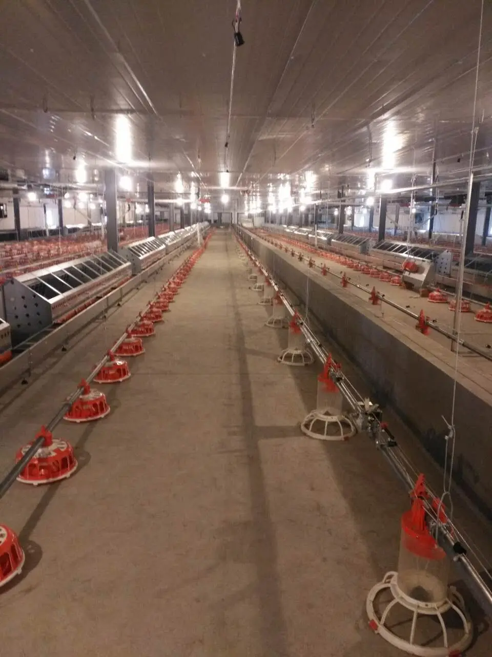 Poultry semi-automatic egg collection nest system for chicken farm