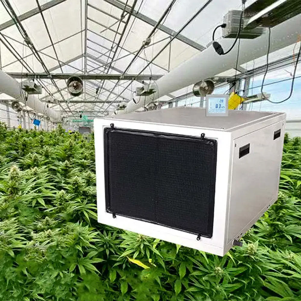 High Quality Air Drying 320 Pints Per Day 240v Greenhouse Air Dehumidifier