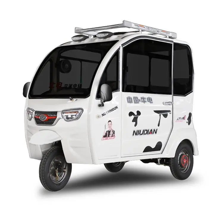 
LCD Mp4 Video System Three Wheel Adult Closed Electric Tricycles Bike 