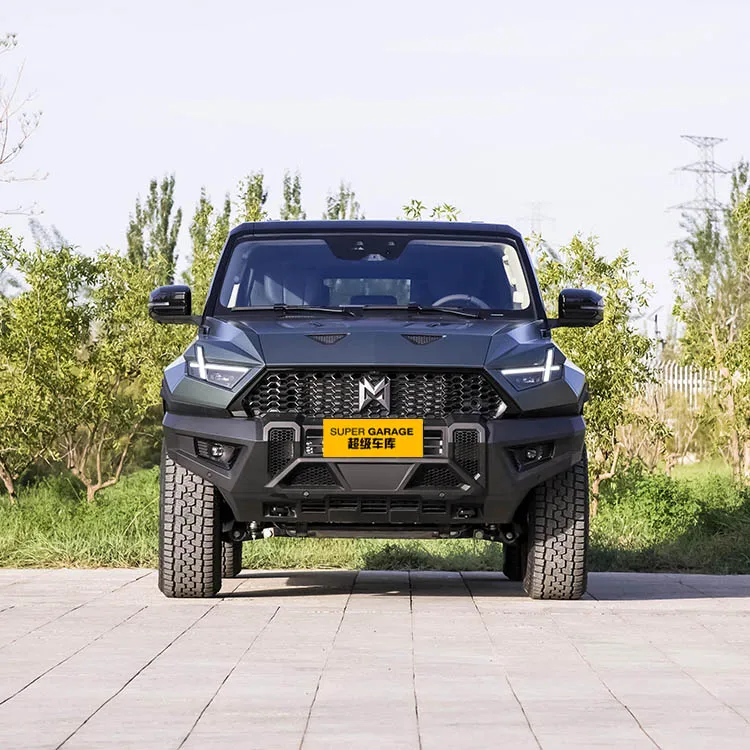 Big offer M-Terrain 917 2023 Pure electric base large Suv electric vehicle