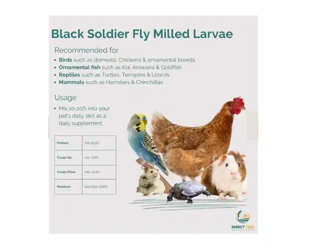 100% Natural Processed Milled Larvae Black Soldier Fly Insect Meal 500g for Professional Breeding of Pets