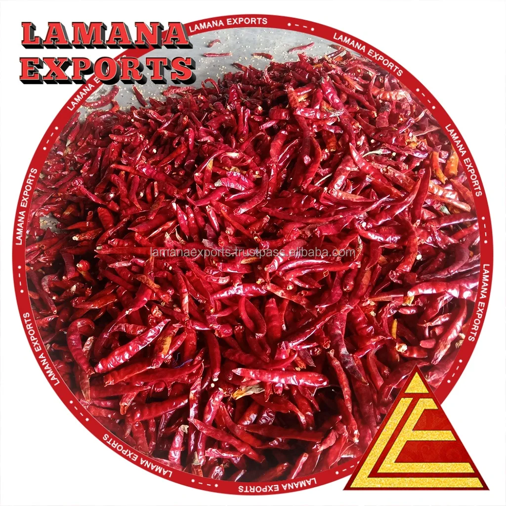 Chilli S17 Teja Stemless India Chilli Premium Quality for Thailand Guntur Hot Dried Red Chili Pepper Single Herbs & Spices Raw