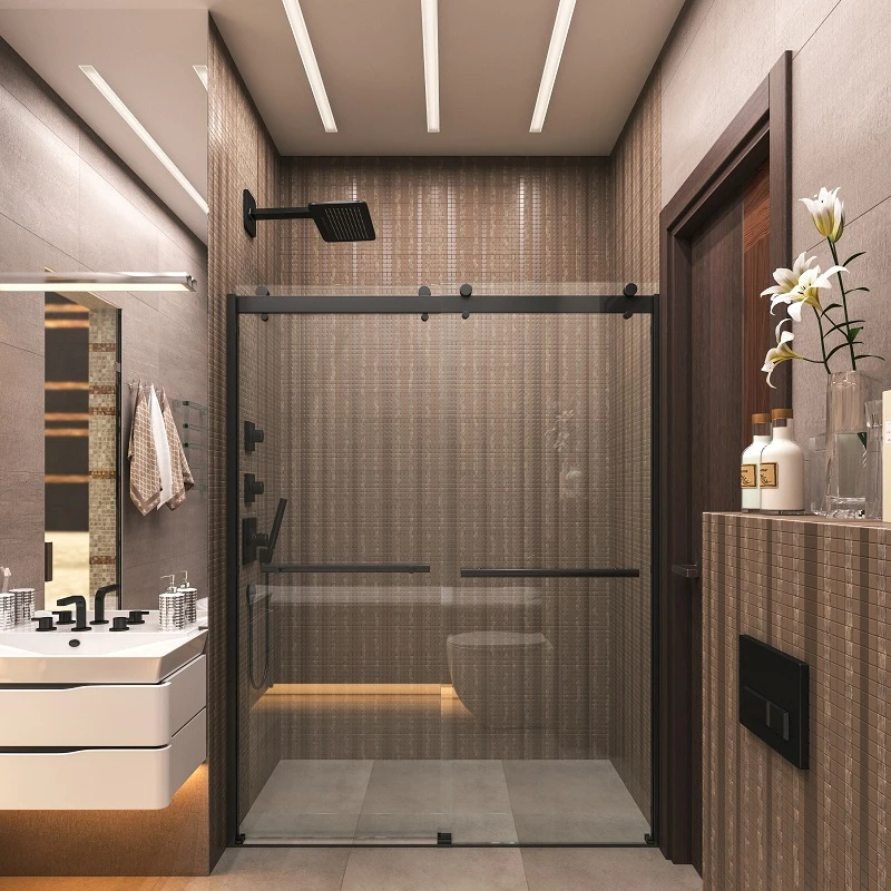 Temporary Health 3/8 Damper Frameless Shower Glass Door