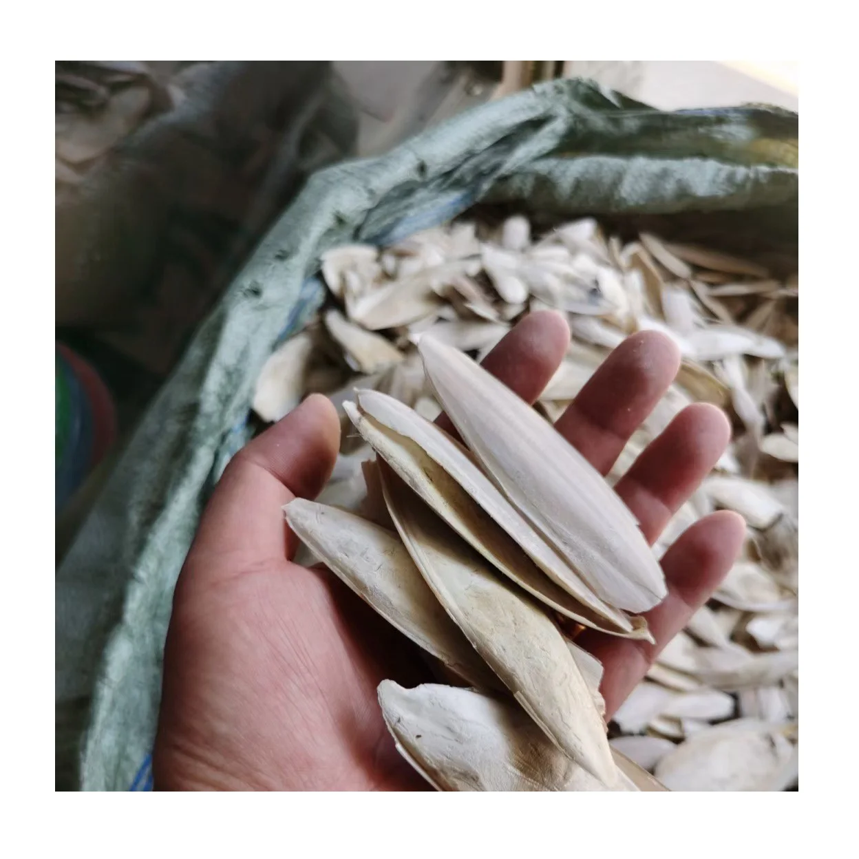 BEST SELLER CUTTLEBONE (Thai Lien Company, Ms Phuong: +84789196389)