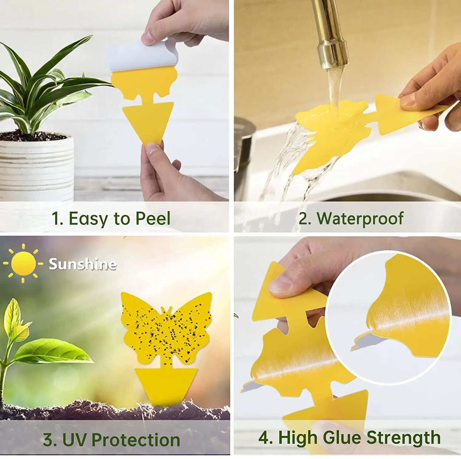 12 Pack Sticky Fruit Fly Fungus Gnat Traps Killer for Indoor and Outdoor Protect The Plant, Non-Toxic and Odorless